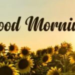 funny-black-good-morning-quote